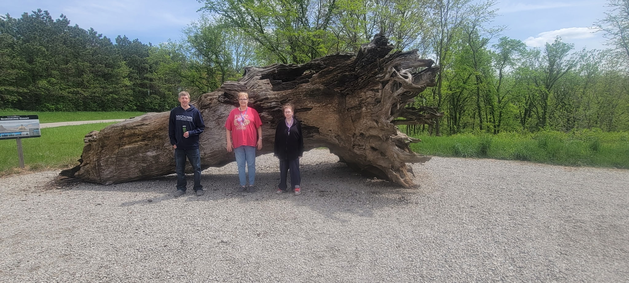 Phoenix House residents enjoying community outing